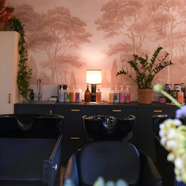 ambiance salon coiffeir naturel